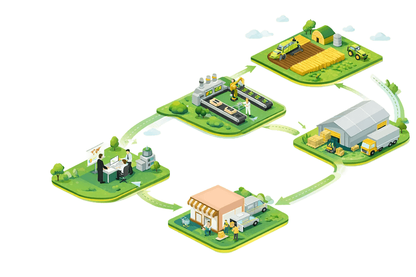 Supply Chain Network